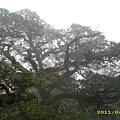 IMG_0244.JPG