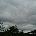 IMG_0287.JPG