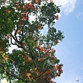IMG_0093.JPG