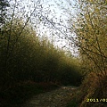 IMG_0023.JPG