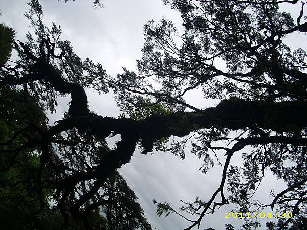 IMG_0237.JPG