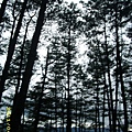 IMG_0289.JPG