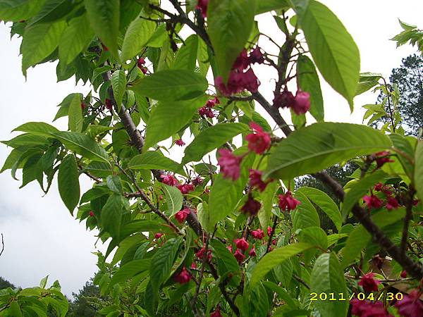 IMG_0211.JPG