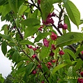 IMG_0211.JPG