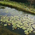 IMG_0159.JPG