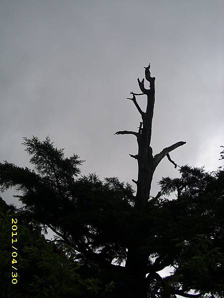 IMG_0275.JPG