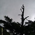 IMG_0275.JPG