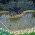IMG_0050.JPG