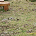 IMG_0318.JPG