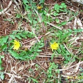 IMG_0301.JPG