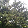 IMG_0230.JPG