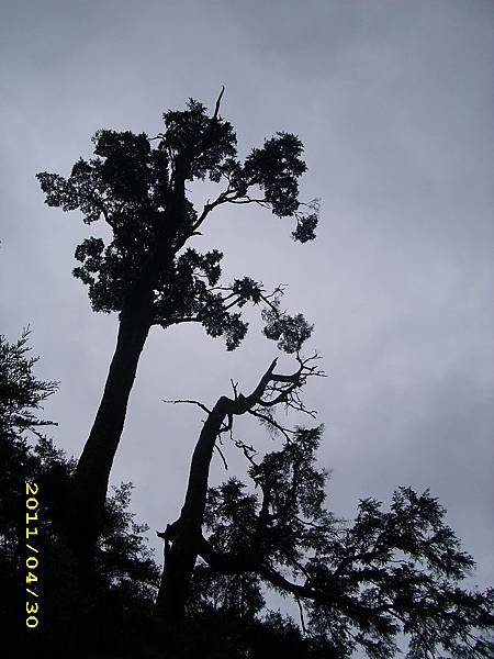 IMG_0277.JPG