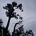 IMG_0277.JPG