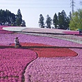 秩父羊山公園