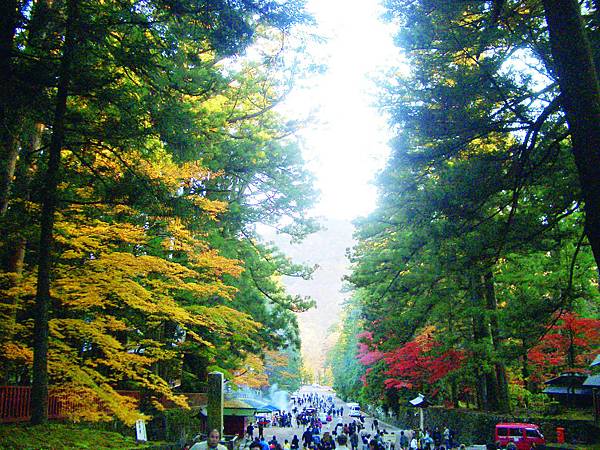 東照宮表參道.jpg