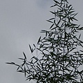 IMG_0183.JPG