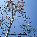 IMG_0426.JPG