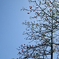 IMG_0429.JPG