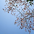 IMG_0432.JPG