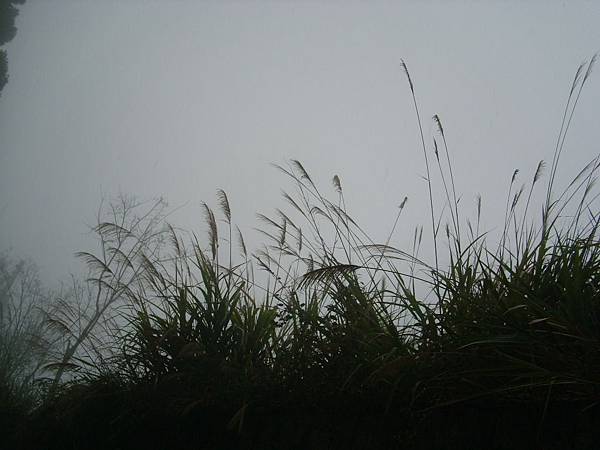 IMG_0289.JPG