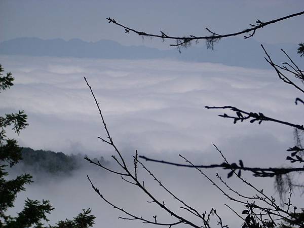 IMG_0326.JPG
