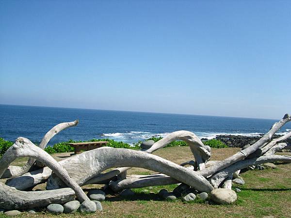 IMG_0445.JPG