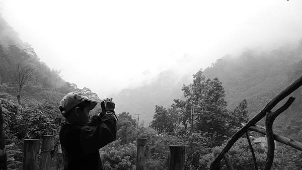 P1050031.jpg