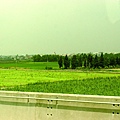 p155-2.jpg