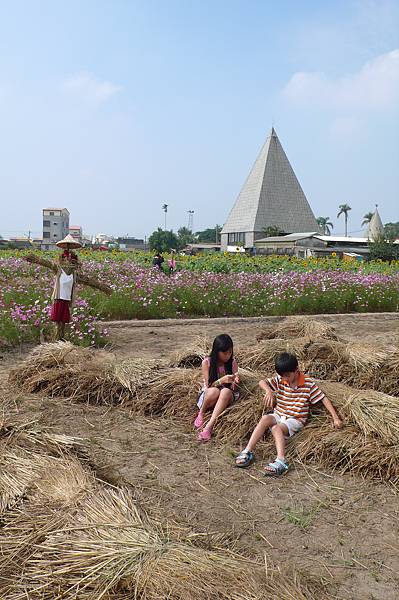 圖3 孩子坐在稻浪花海中 拷貝.JPG