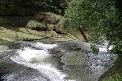 (十七)CRW_3569.JPG