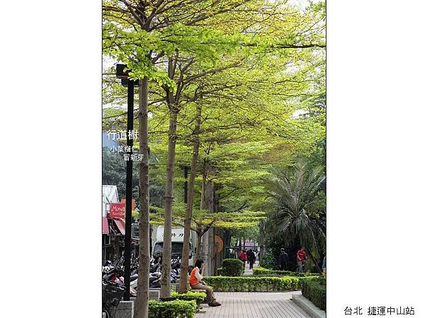 投影片06.JPG