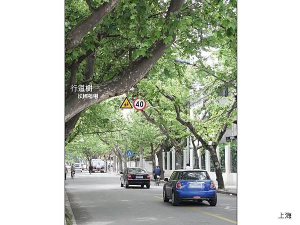 投影片09.JPG