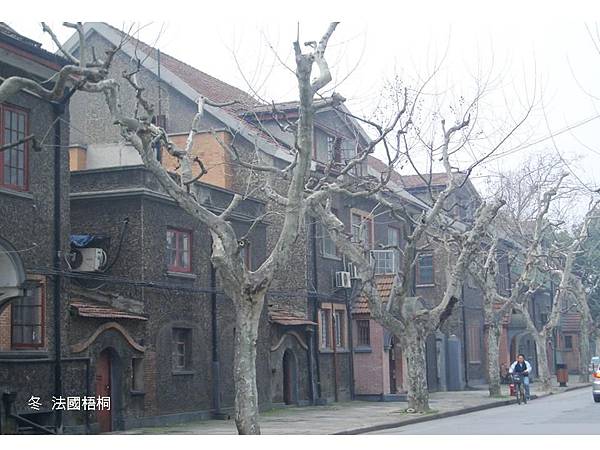 投影片22.JPG