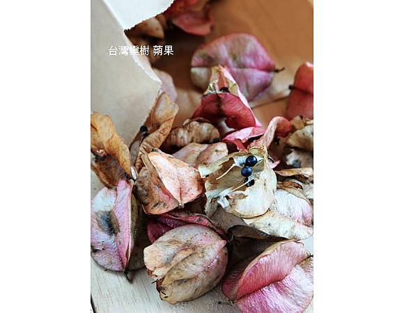 投影片34.JPG