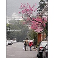 投影片37.JPG