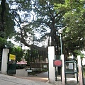 2~1年香港鼠疫災區遺址紀念碑匾立在卜公花園.jpg