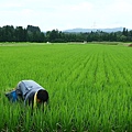 其他行業--農牧.jpg