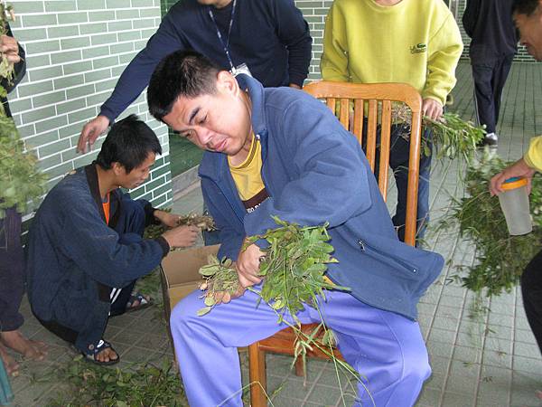 採收土豆2.jpg