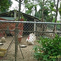 IMG_0032.JPG