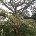 IMG_0234.JPG