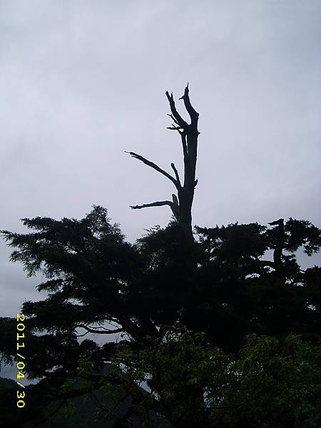 IMG_0263.JPG