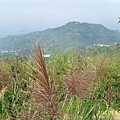 IMG_0074.JPG