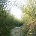 IMG_0024.JPG