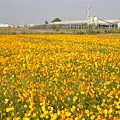 IMG_0091.JPG