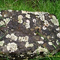 IMG_0220.JPG