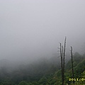 IMG_0226.JPG