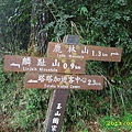 IMG_0300.JPG