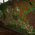 IMG_0048.JPG