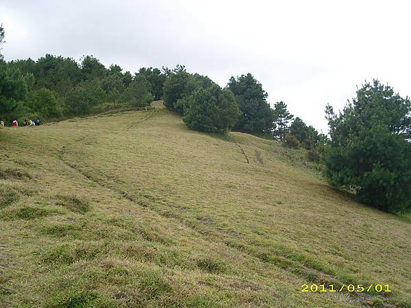 IMG_0313.JPG