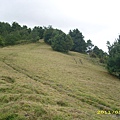 IMG_0313.JPG